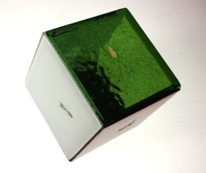 Cube bestioles-CeliaPascaud